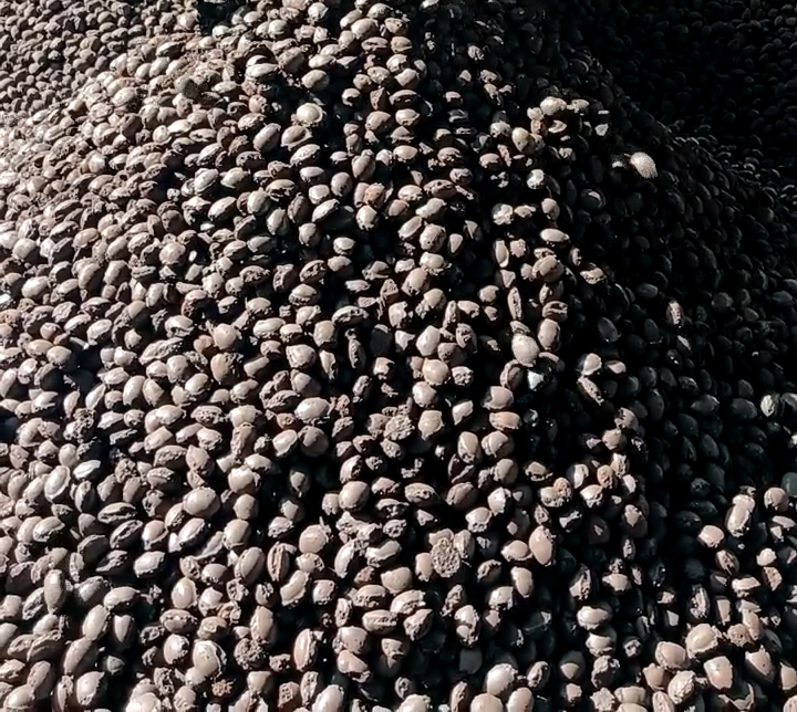 ����������ճ�ϼ��к�����